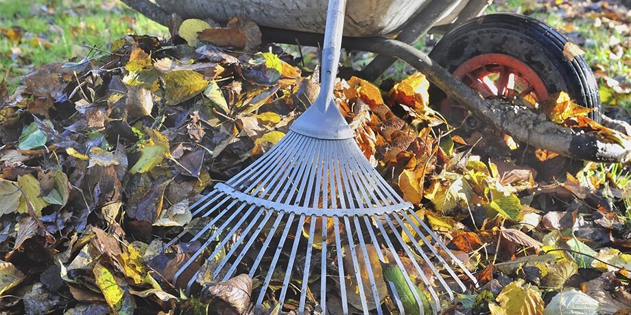    Фото: 123RF/sanddebeautheil