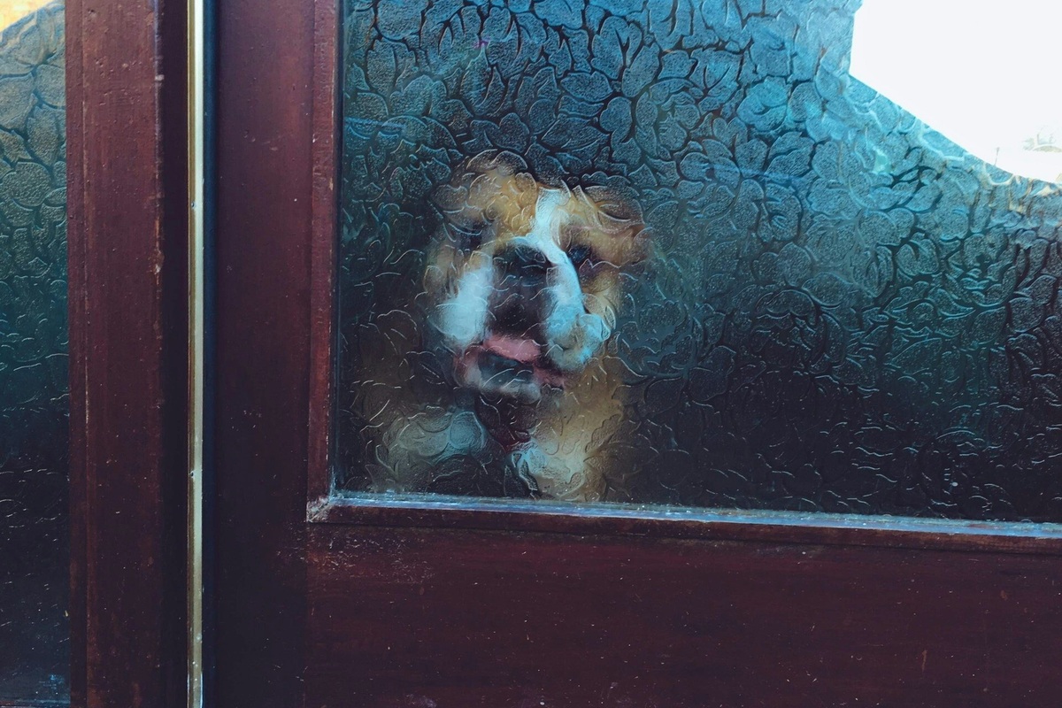     Проще простого: как помыть матовое стекло, не повредив его