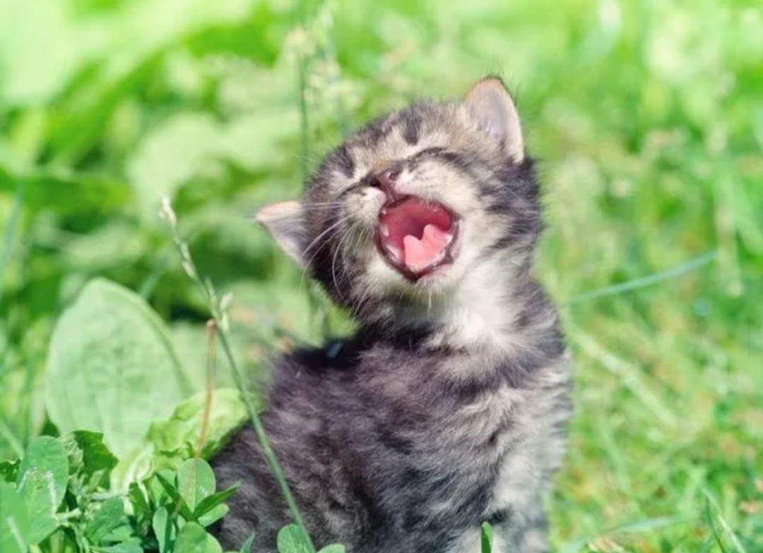 Фото из интернета