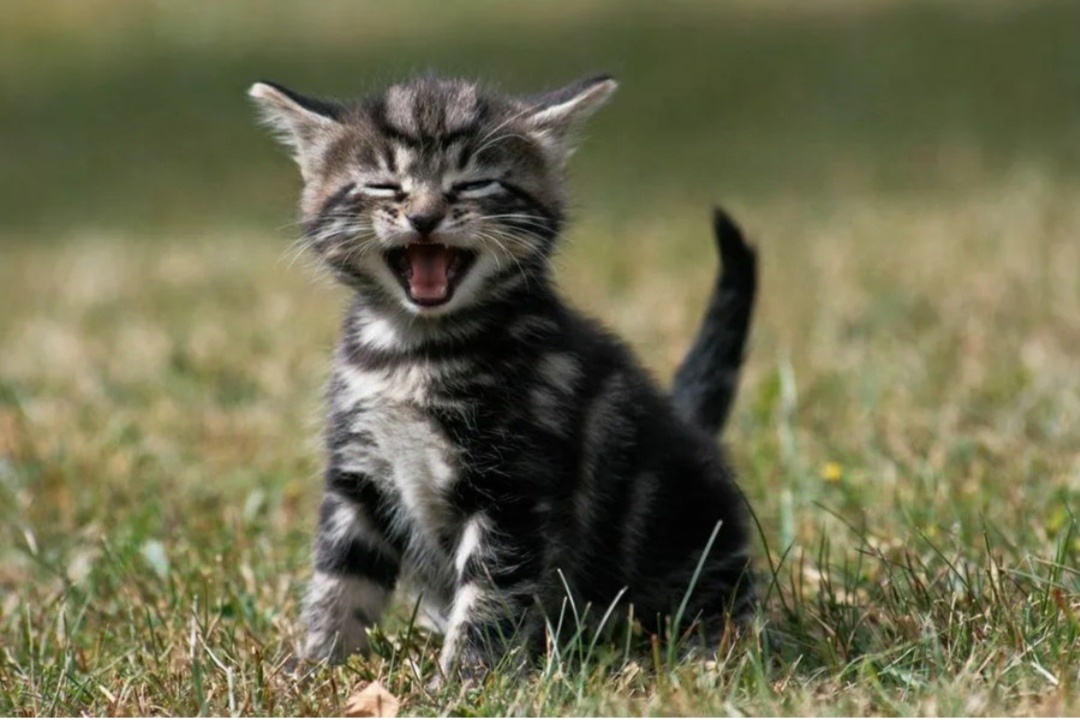 Фото из интернета