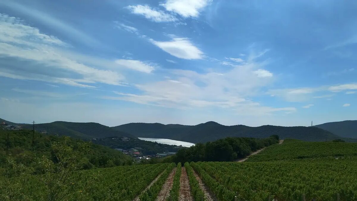    Абрау-Дюрсо