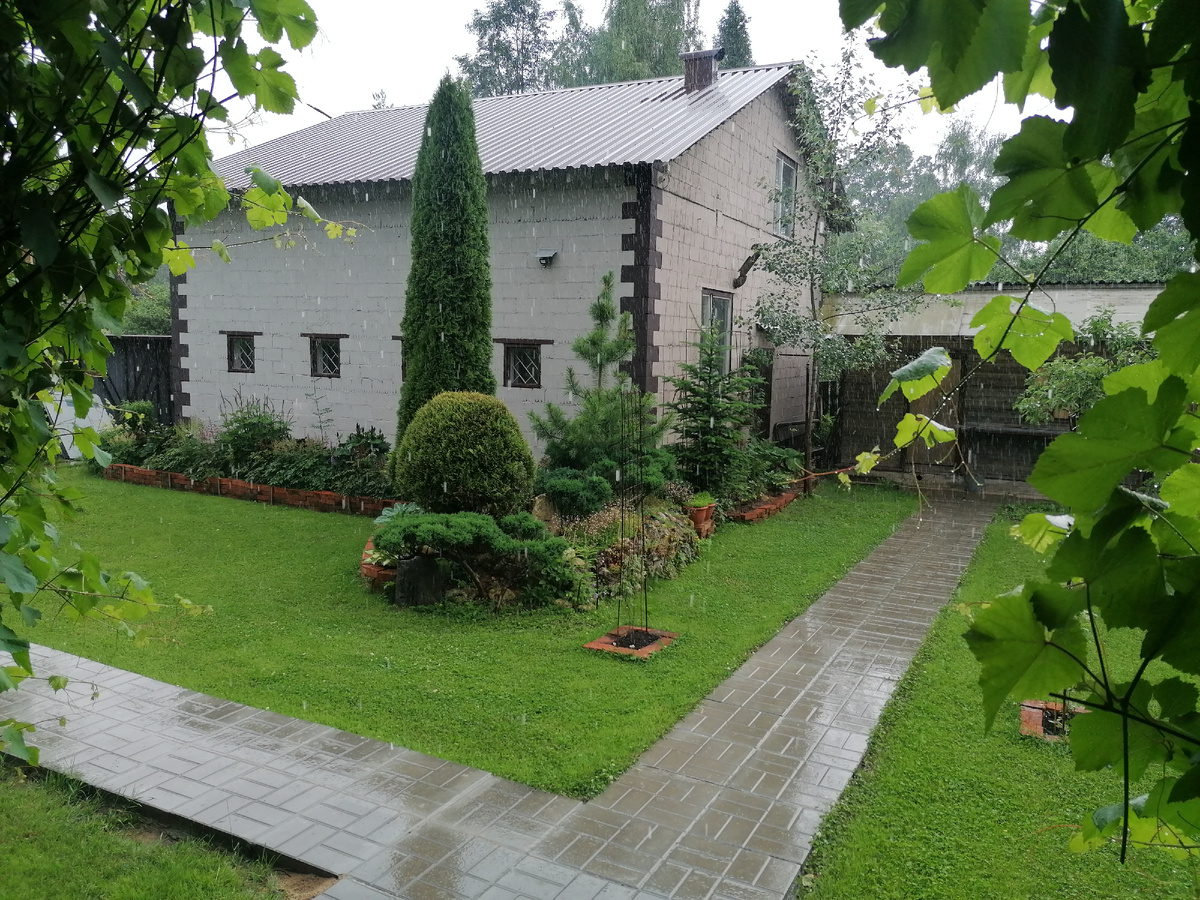 Наш гараж на даче. Наш сад. Фото автора @Маша Генералова