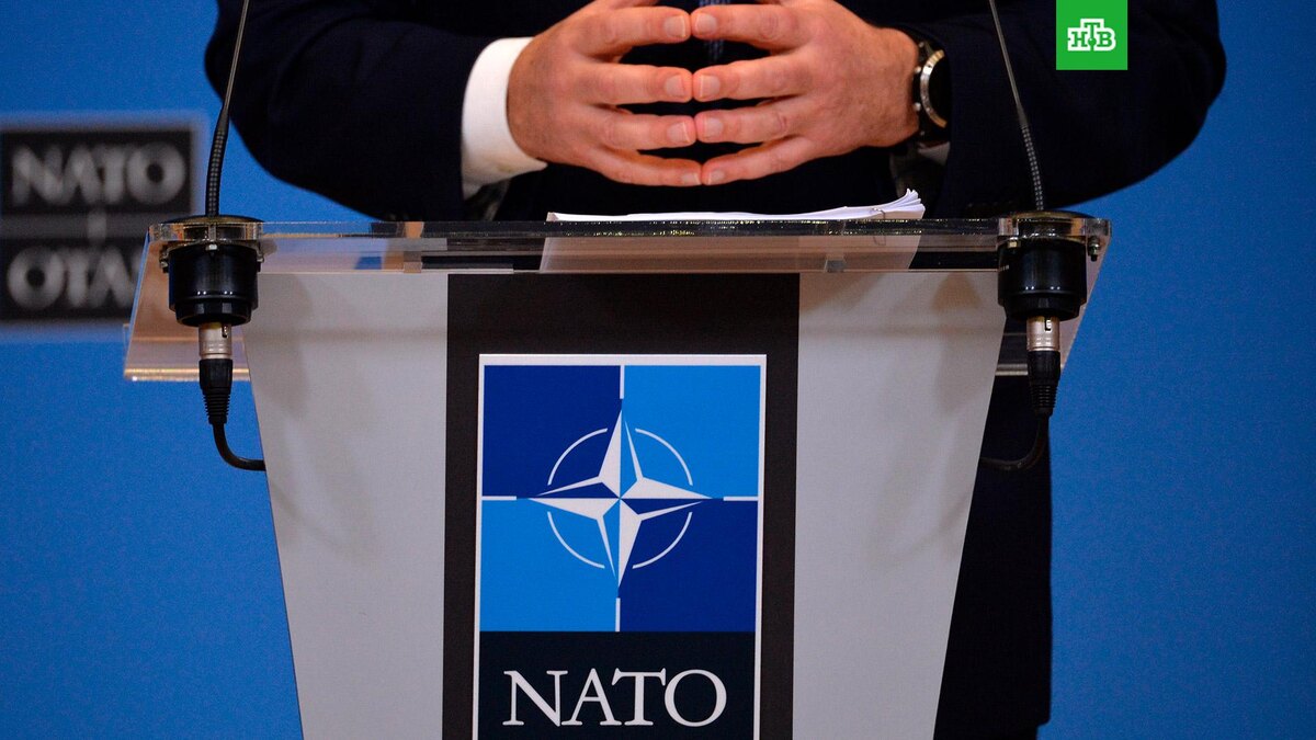    Фото: РИА Новости © 2025, Алексей Витвицкий