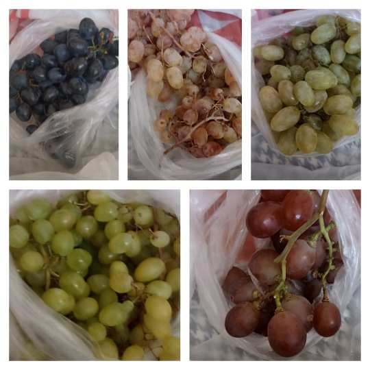 коллаж автора