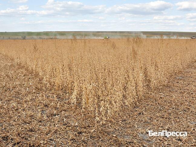 Фото: Елена Журавлёва