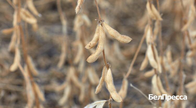 Фото: Елена Журавлёва