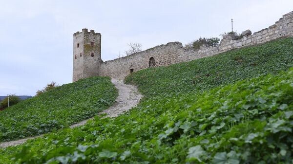    © РИА Новости Крым