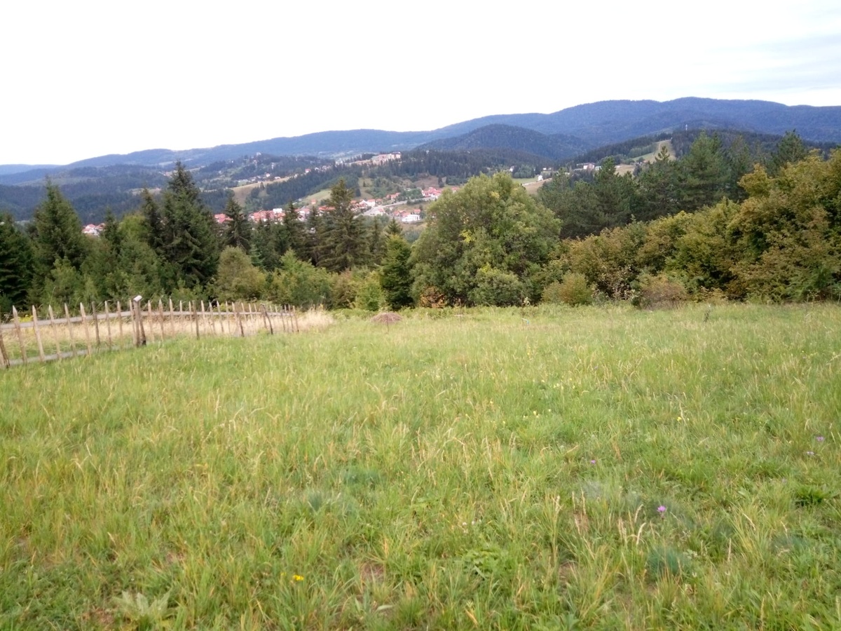 Вот такой в Западной Сербии конец сентября 🥰 Гора Тиква, фото автора