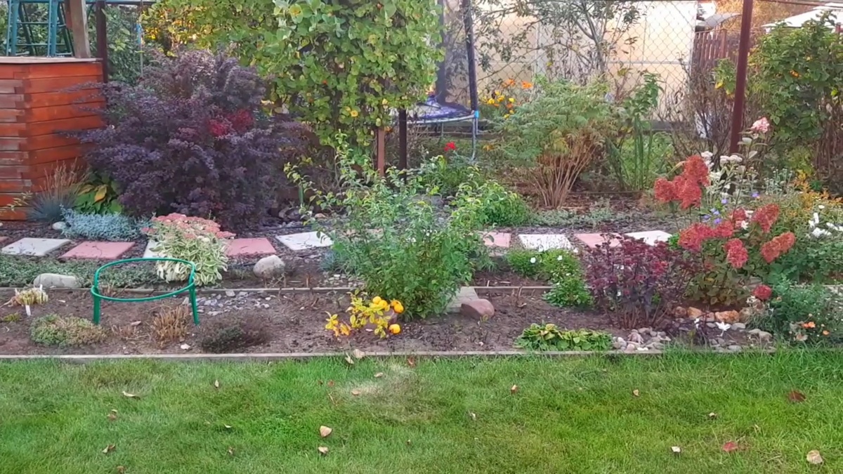 Осенний порядок на участке.