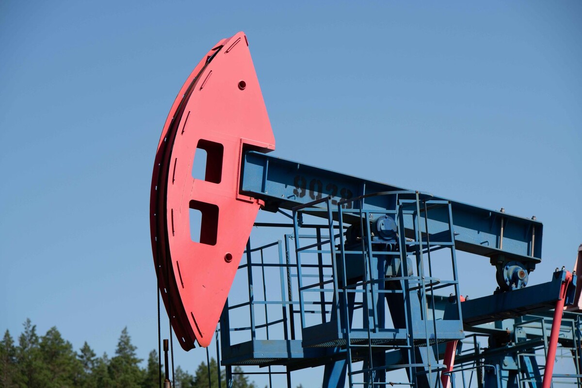     / Источник: © Александр Манзюк/ТАСС