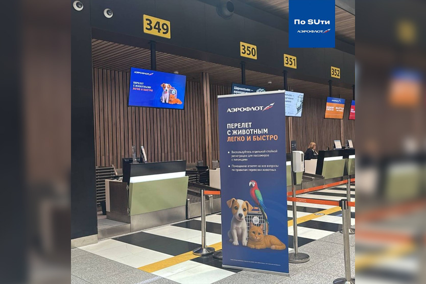     Фото: Официальный Telegram-канал пресс-службы «Аэрофлота»