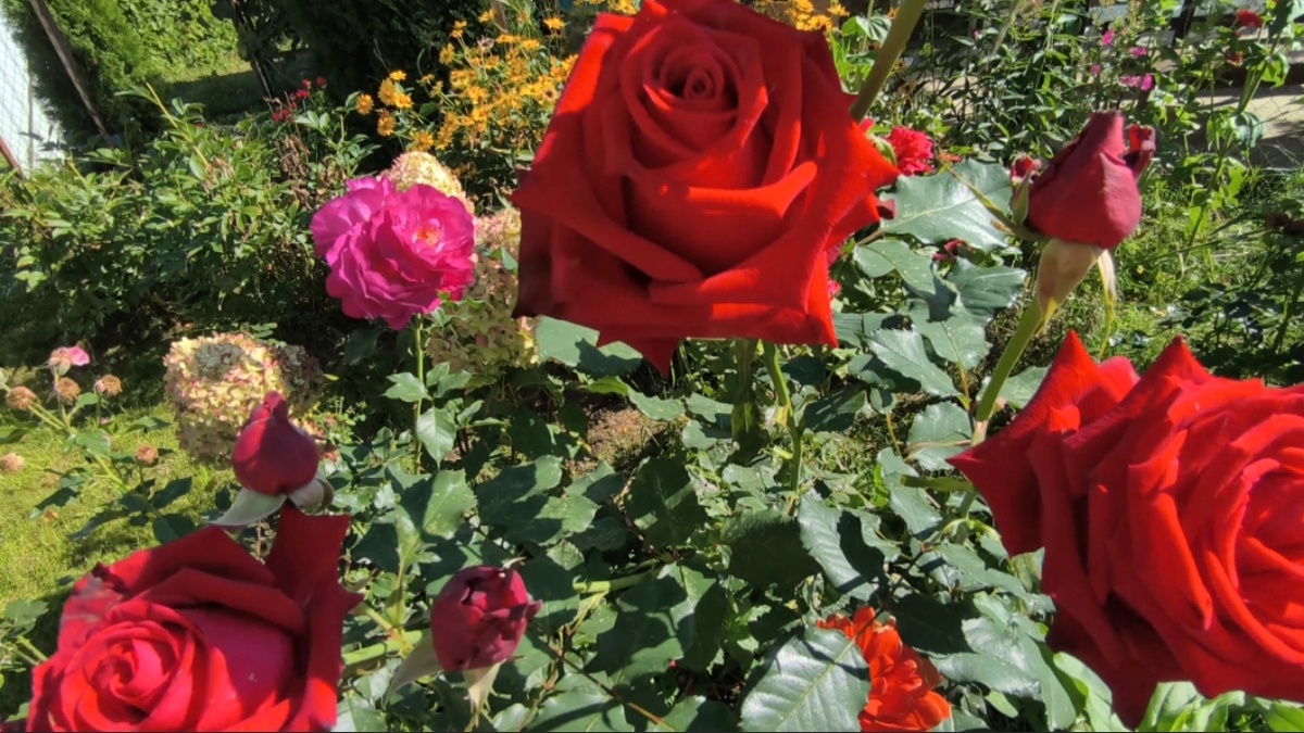 Фото автора. 