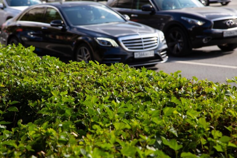    Фото: Общественная Служба Новостей Илья Федоров