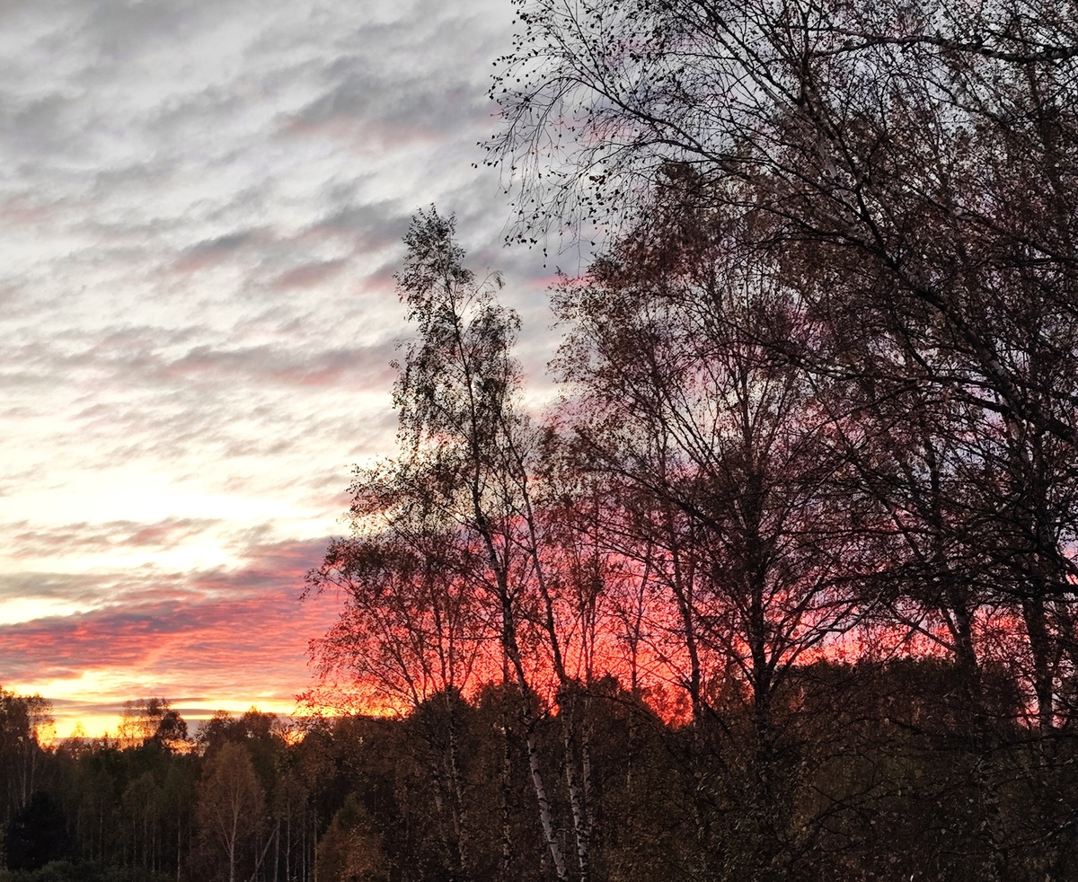Фото автора. Такой закат вчера наблюдала в 18:25, через 15 минут уже темно