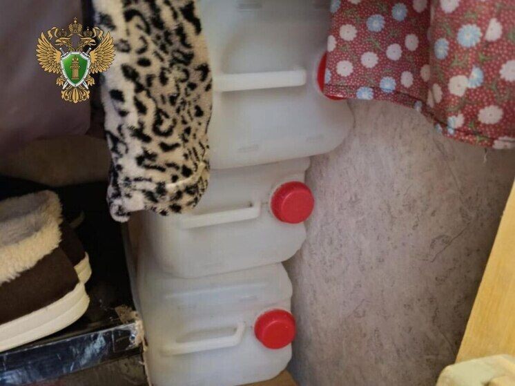     / Источник: © Прокуратура Ленобласти