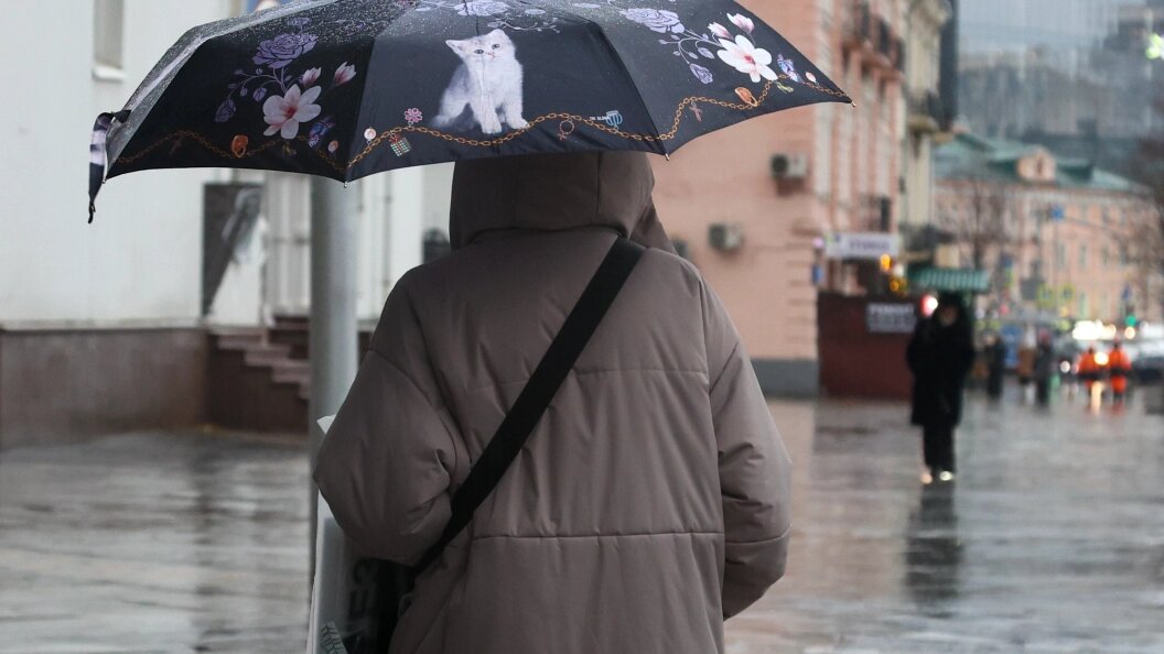    Фото: Shatokhina Natalia/Globallookpress