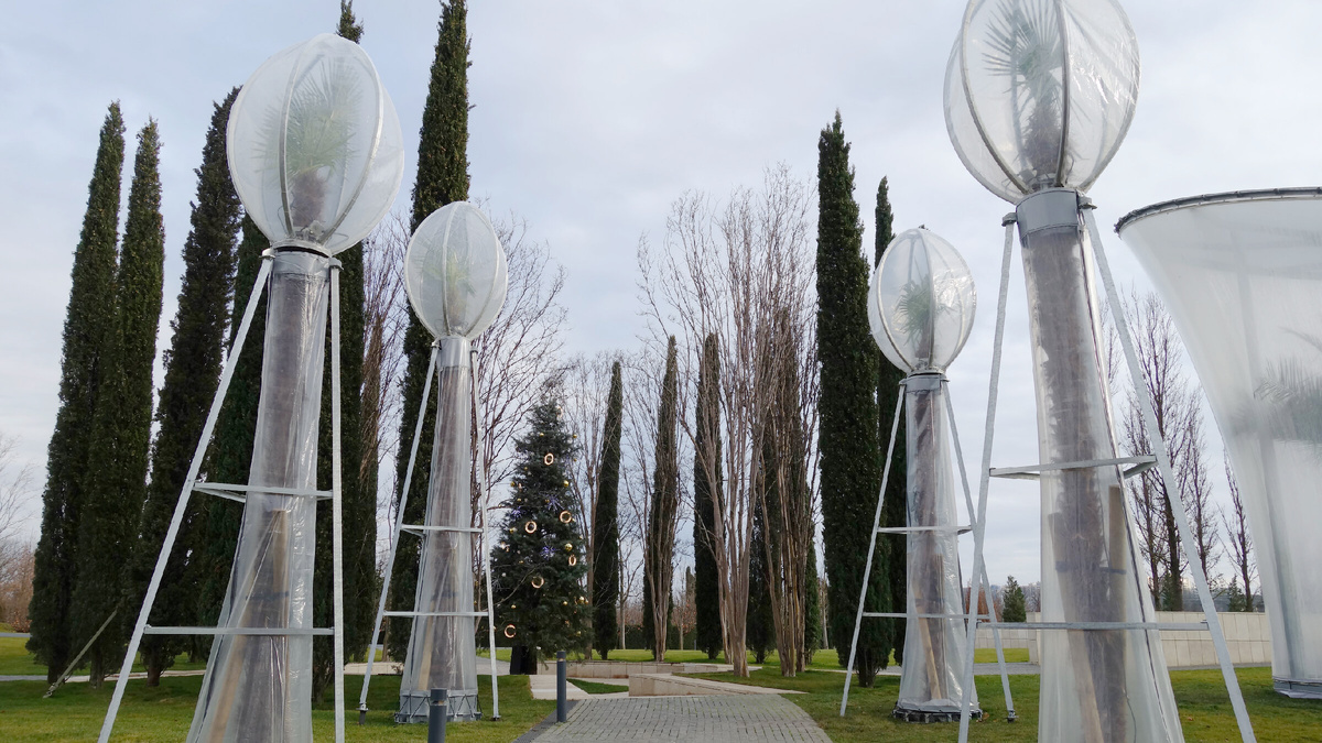 Утепление пальм в парке "Краснодар".