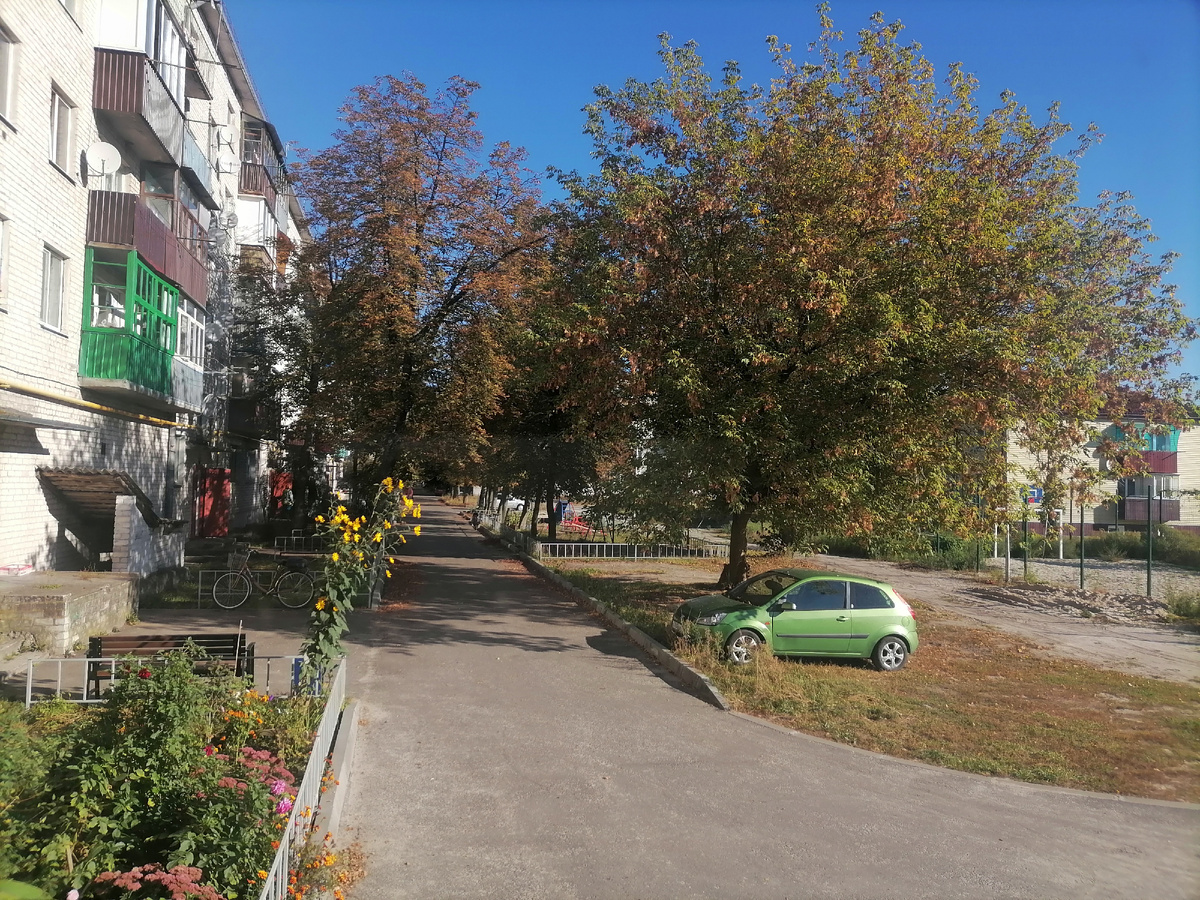 Осеннее утро в провинции. Тишь да благодать. На первый взгляд. Но, за деревьями скрыт  дом с сильными разрушениями, а за ним сгоревший частный дом. 