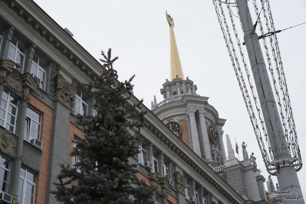    Фото: Лидия Аникина © ИА «Уральский меридиан»