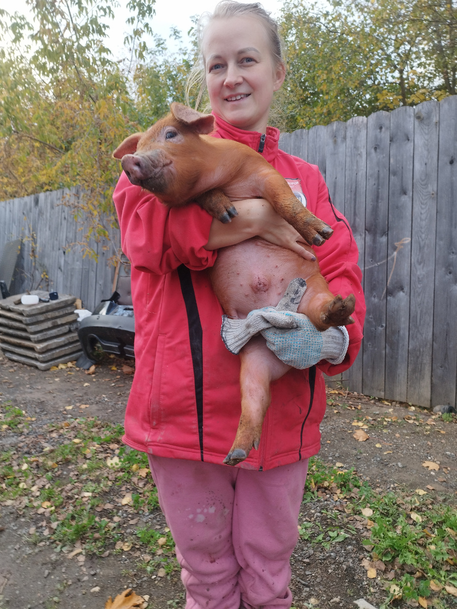 Конечно вид у меня не очень🙃, зато поросяш красавчик👍