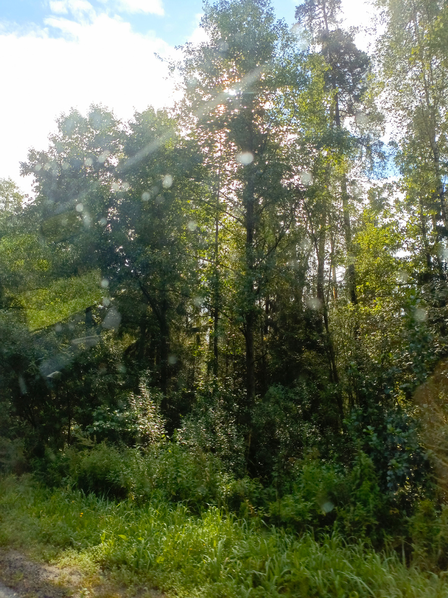 Виды по пути на фабрику "Иней"