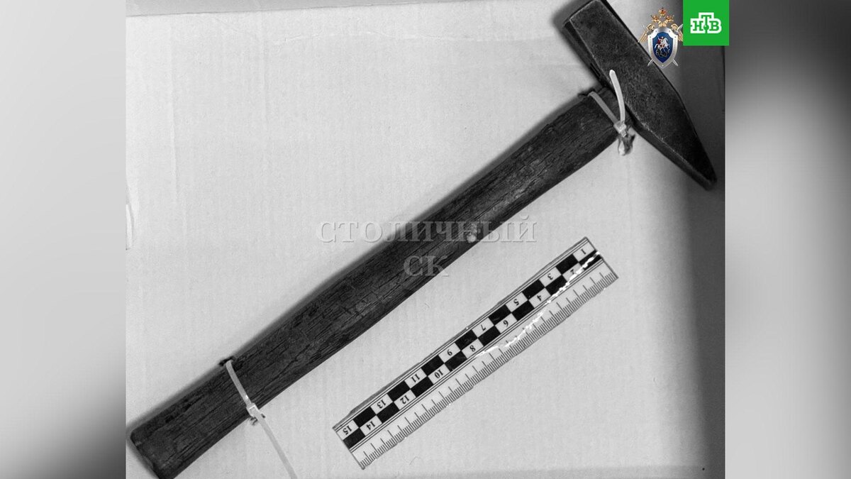    Фото: skmoscowgsu / t.me