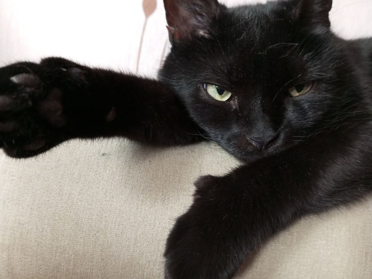 Всегда рядом