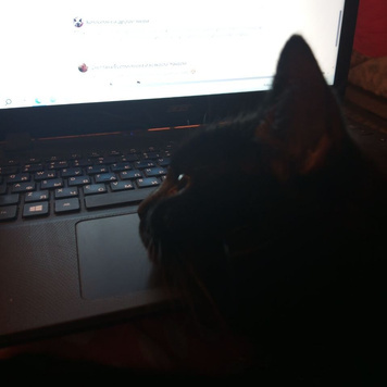 Шеф-редактор за работой