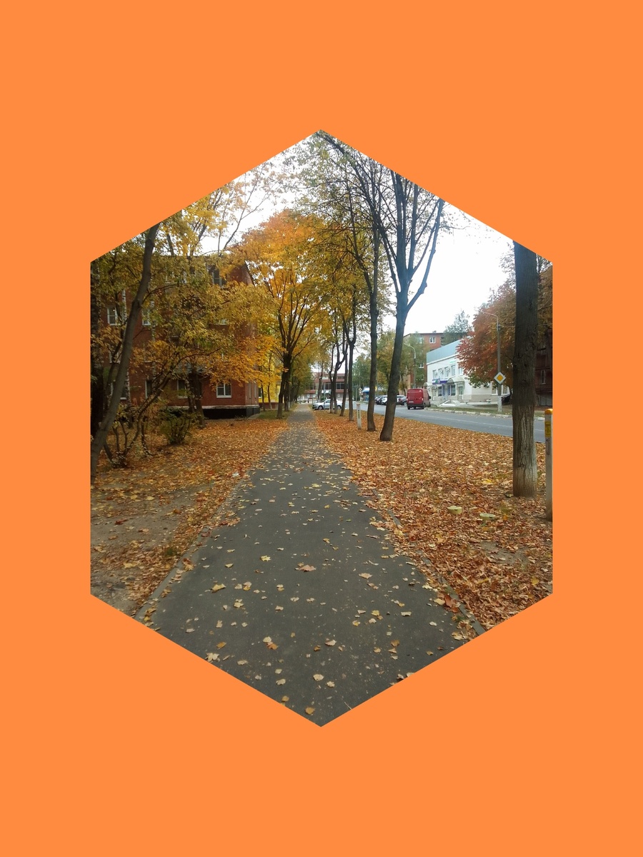 Золотая осень. Моя улица.