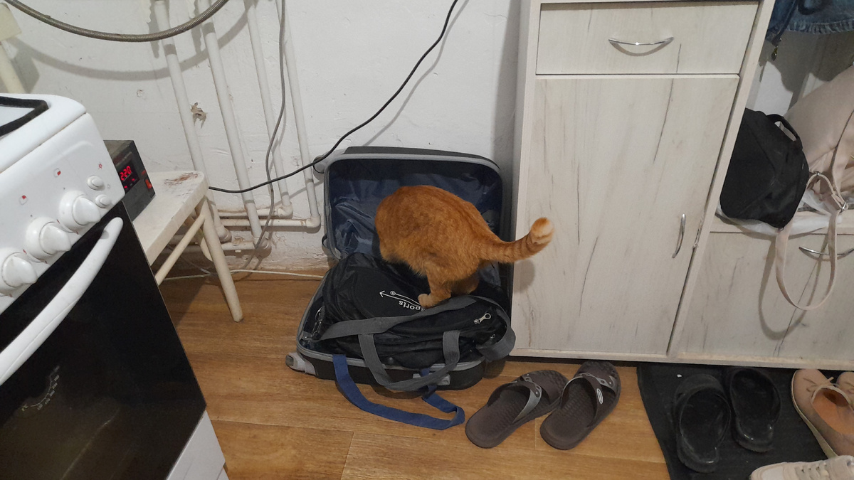 Так, кажется, все взял