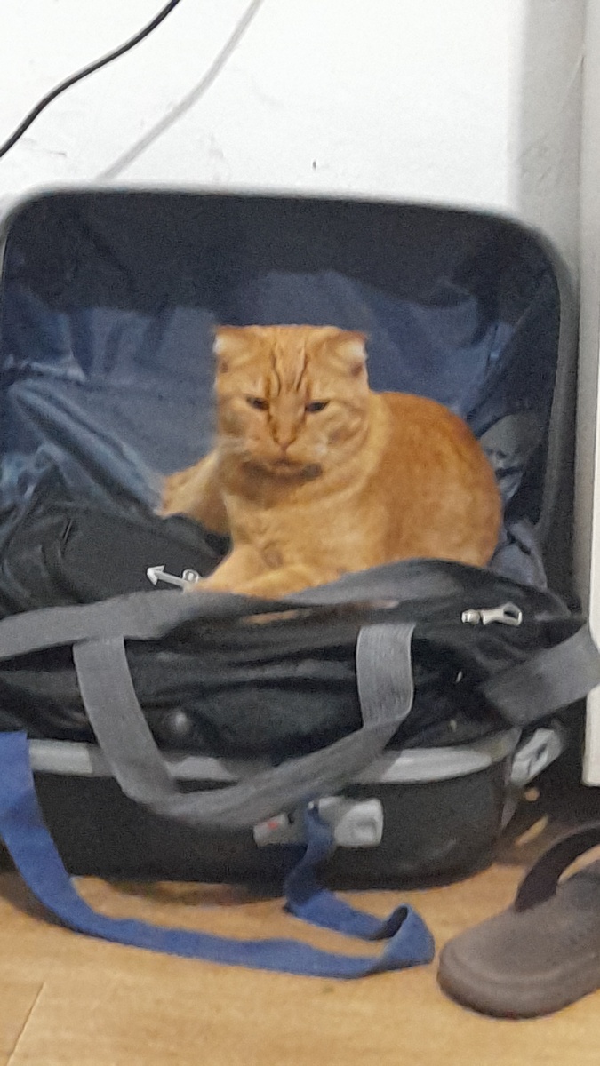 Ну мы едем, или как?