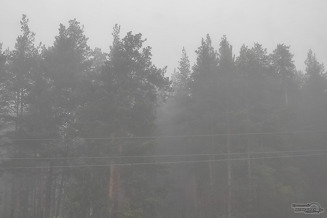    Фото: читатель © ИА «Уральский меридиан»