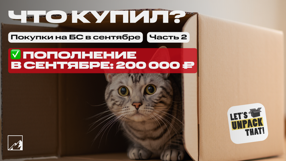 кот в коробке