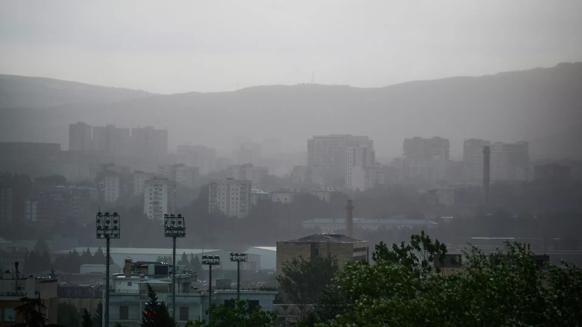 © photo: Sputnik / Stringer