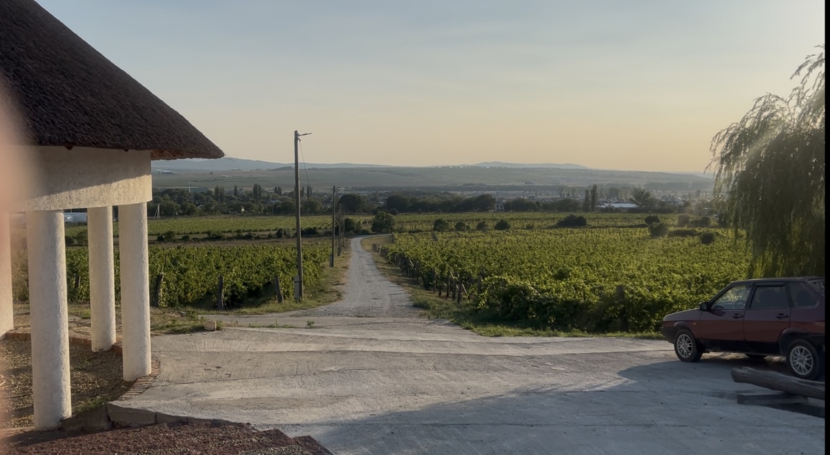 Виноградники "Семигорья"