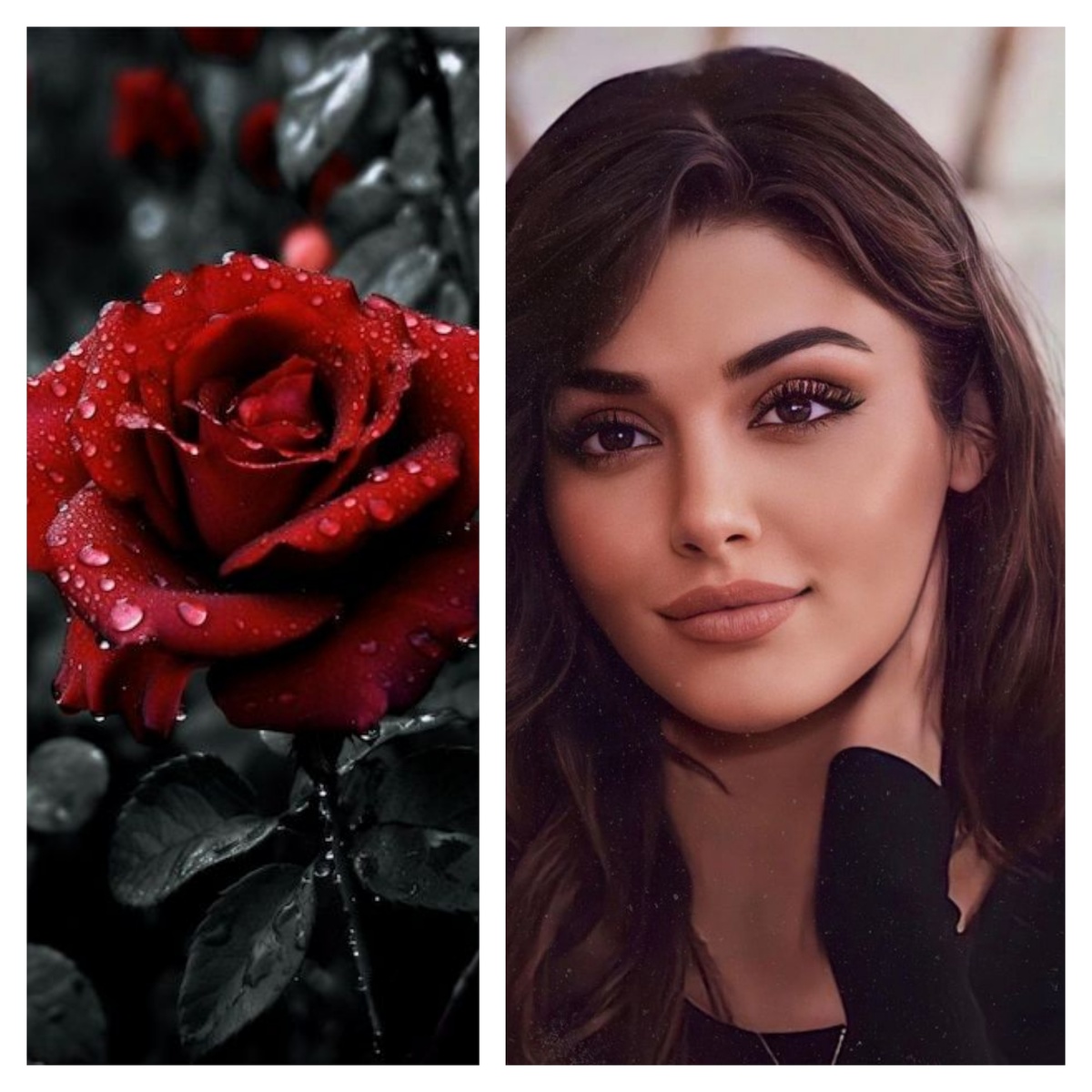 Открытые источники 