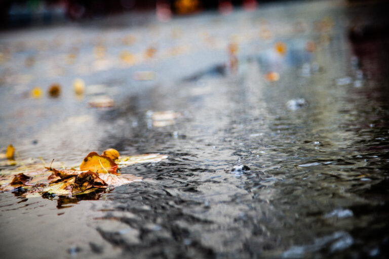    Фото: Общественная Служба Новостей Марта Леви