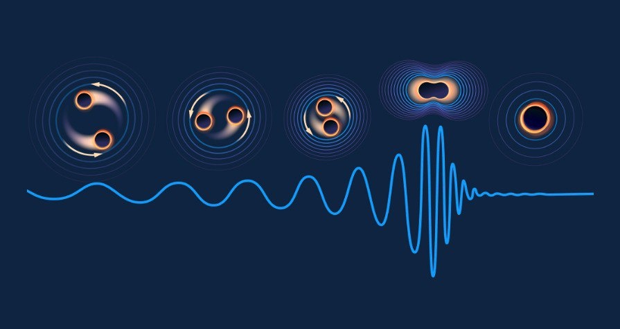 Процесс слияния черных дыр.
Изображение: Lucy Reading-Ikkanda/Simons Foundation