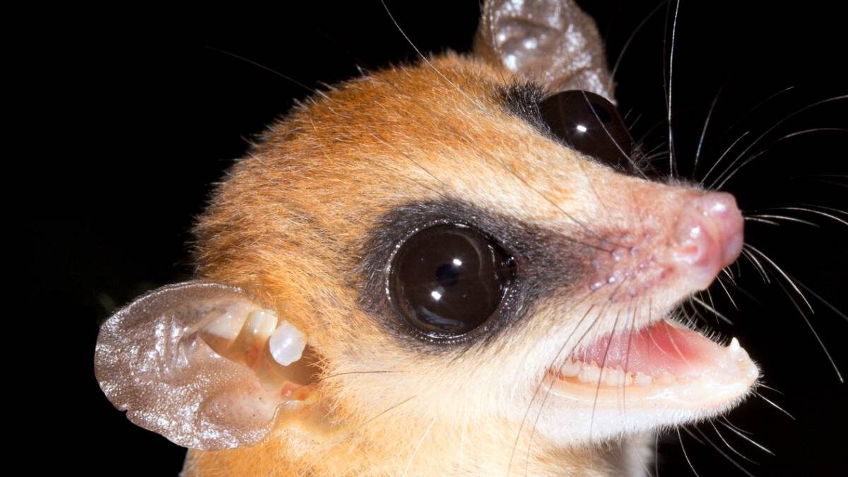    Фото: Shutterstock