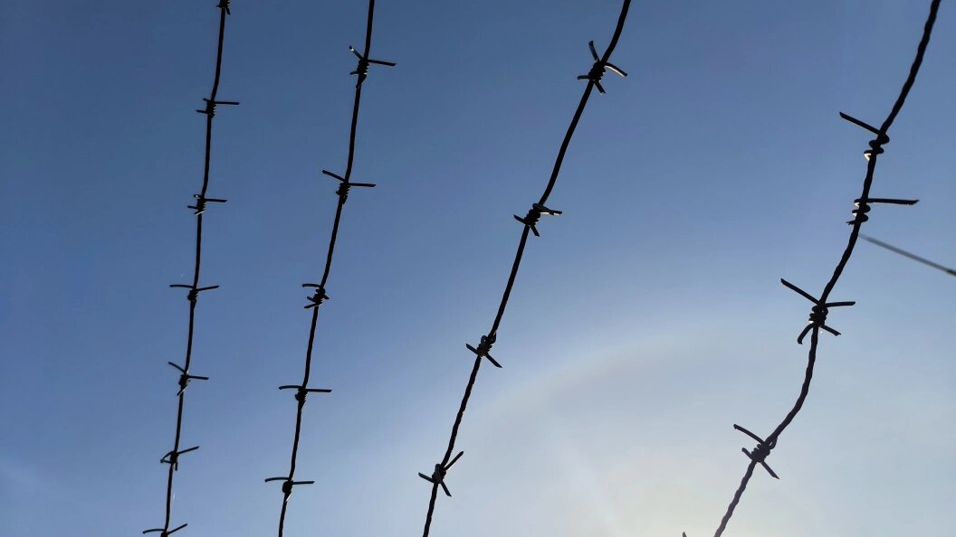    Фото: Globallookpress