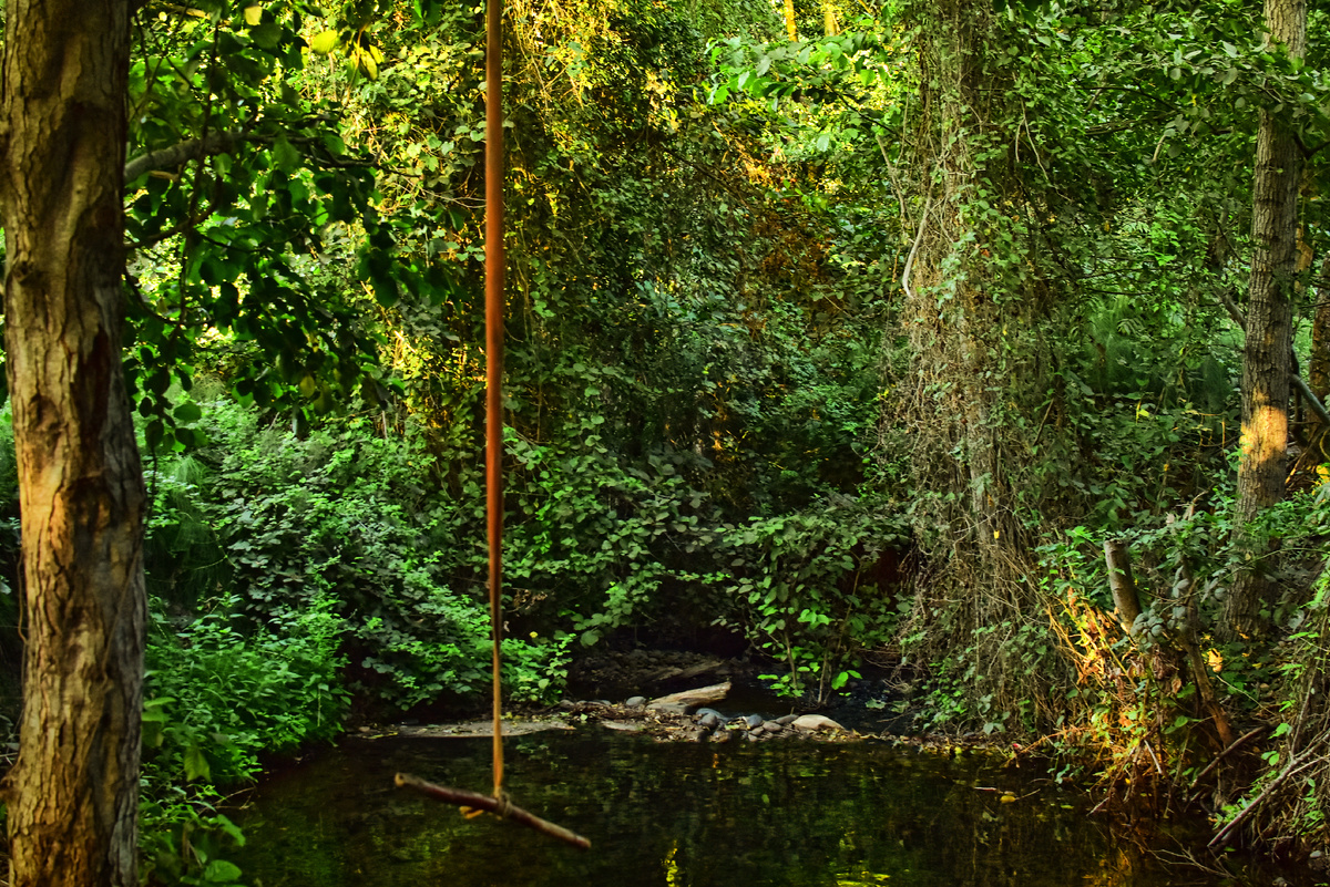Фото: Татьяна Хатанзейская-Любимова