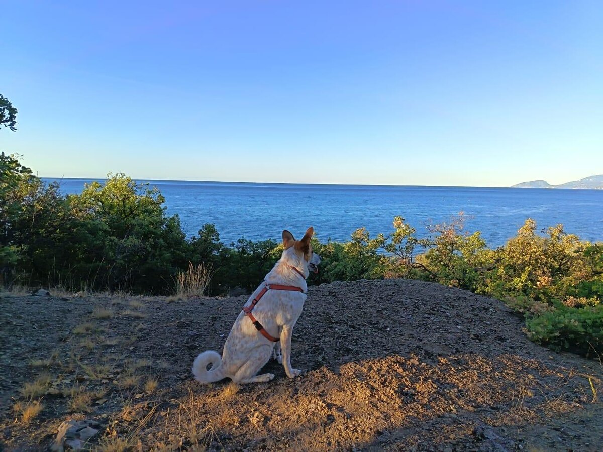 Здравствуй, море! Купаться не люблю. Смотреть люблю