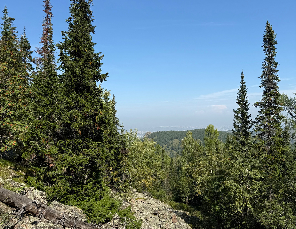 Не верится, что такой вид реален в городе