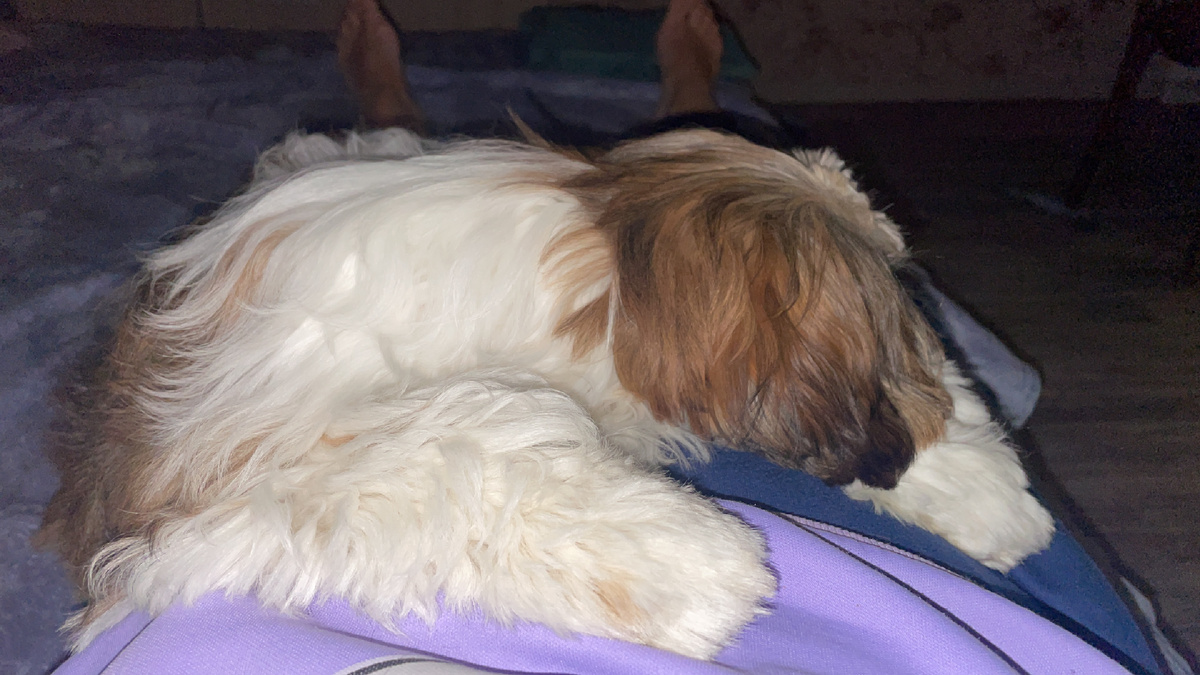 Упали без сил