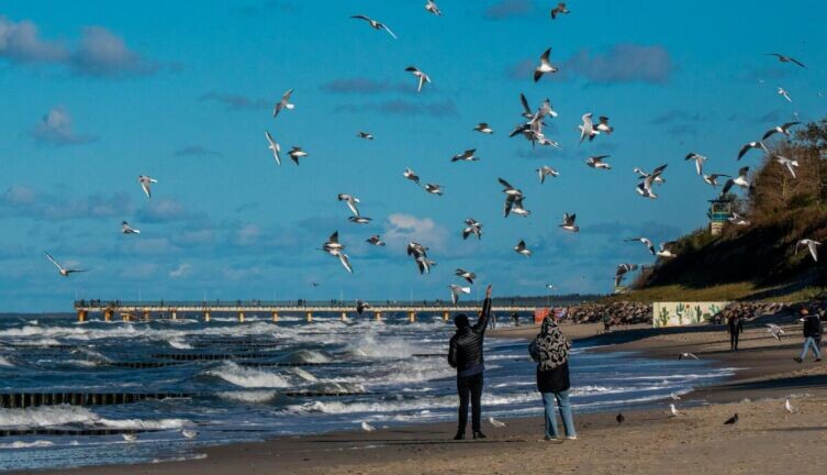     Фото: Юрий Баринов on Unsplash