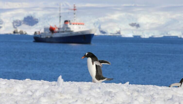     Фото: Yvette Zhang on Unsplash