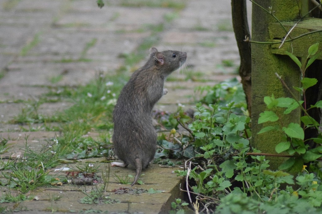    Фото © unsplash.com / Michelle Gordon