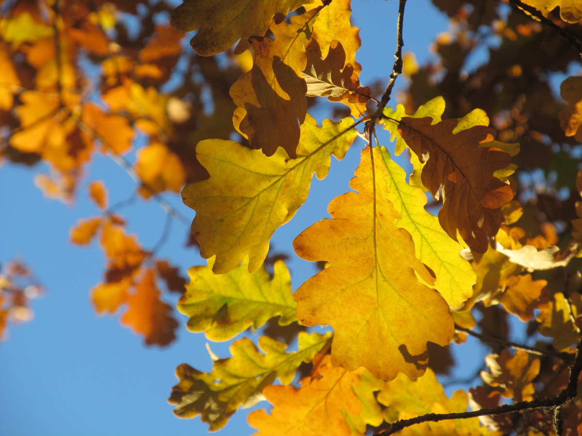 Осень - время 100% кэша!