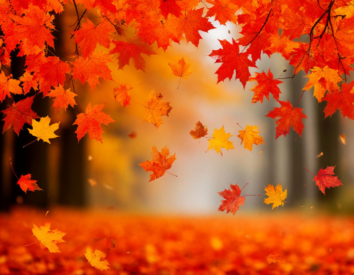 осенний фон картинки