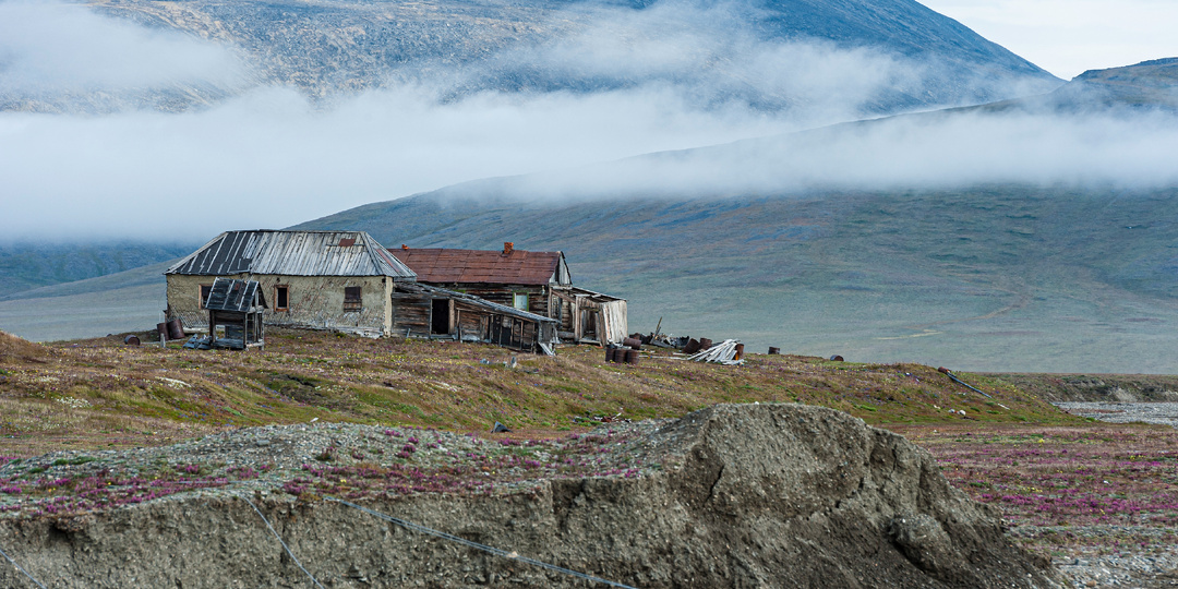 Арктический роддом России: что мы знаем об острове Врангеля